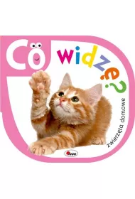 Co widz� Zwierz�ta domowe