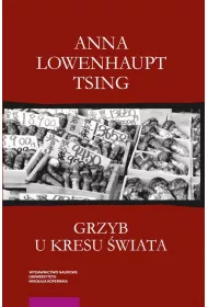 Grzyb u kresu wiata