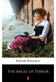 eBook The Angel of Terror mobi epub
