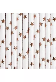 PartyDeco S�omki papierowe jasne r�owe z�oto 19.5cm 10 szt.