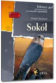 Sok. Lektura z opracowaniem