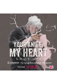 Audiobook Your Knife, My Heart mp3