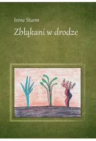 Zb��kani w drodze