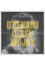 Audiobook Dzienniki czasu wojny mp3