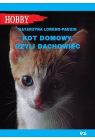 Kot domowy, czyli dachowiec