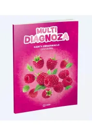 Multidiagnoza. Wychowanie Przedszkolne 4 lata KO