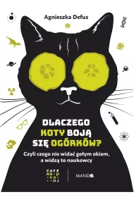 Dlaczego koty boj si ogrkw?