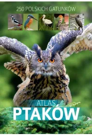 Atlas ptakw