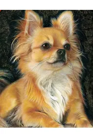 Mozaika diamentowa 5D - Chiuhuahua br�z 40x30cm