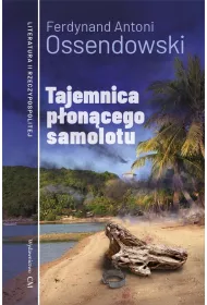 Tajemnica p�on�cego samolotu