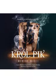 Audiobook Krl Pik mp3