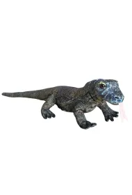 Waran z Komodo 70cm Dubi