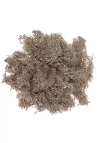 Dalprint Mech br�zowy 30g 30 g