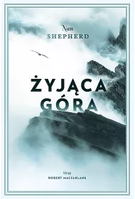 yjca Gra