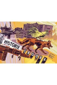 Historie �rodka