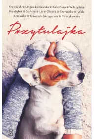 Przytulajka