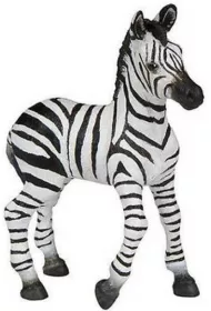 Zebra �rebi�