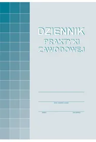 Michalczyk i Prokop Dziennik praktyki zawodowej A-100-3