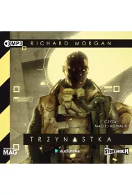 Audiobook Trzynastka CD