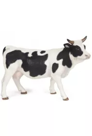 Krowa czarno-bia�a