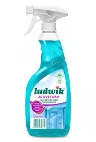 Ludwik Pyn do mycia kabin prysznicowych Floral Violet 600 ml