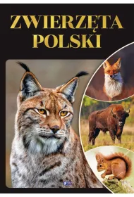Zwierz�ta Polski