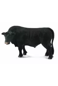 Byk czarny angus