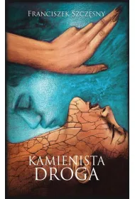 Kamienista droga
