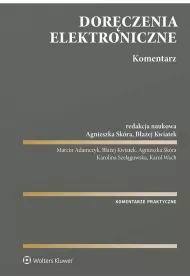 Dorczenia elektroniczne. Komentarz