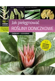 Jak piel�gnowa� ro�liny doniczkowe - choroby i szkodniki