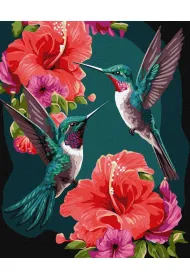 Ideyka Malowanie po numerach okr�g�e - Szmaragdowe kolibry 40x50cm