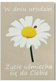 Trend Kartka okoliczno�ciowa Urodziny