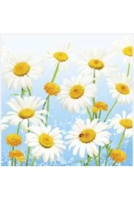 Serwetka Lunch Lovely Marguerites on Blue SDWI008901