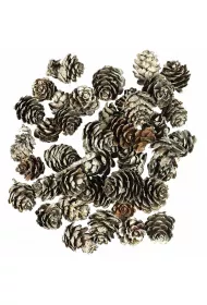 Arpex Szyszki o�nie�one 65 g