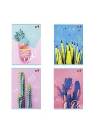 St. Majewski Zeszyt A5/60K linia Cacti (10szt) linia 60 kartek 10 szt.