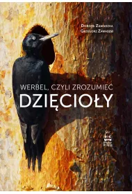 Werbel, czyli zrozumie� dzi�cio�y
