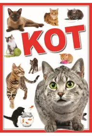 Koty. Biblioteka wiedzy