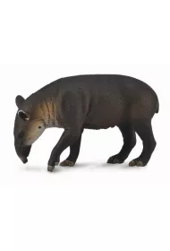 Tapir ciel� bairda