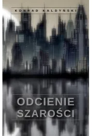 Odcienie szaroci
