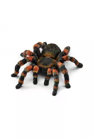 Tarantula