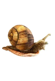 Pluszowy �limak - 35cm Dubi Plusz