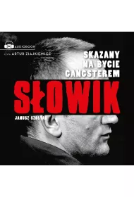 Audiobook Sowik mp3