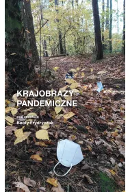 Krajobrazy pandemiczne