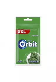 Wrigley Guma do ucia Spearmint torebka XXL