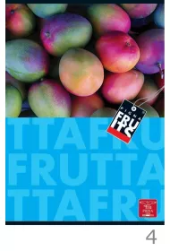 Zeszyt A4 Fruits kratka 42 kartki