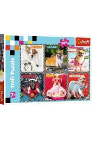 Puzzle 200 el. Weso�e psy Trefl