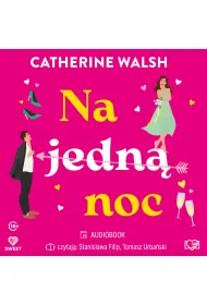 Audiobook Na jedn noc mp3