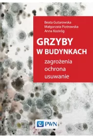 Grzyby W Budynkach.