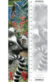 Worth Keeping Zak�adka 3D Lemur