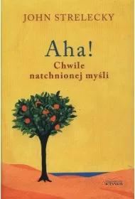 Aha! Chwile natchnionej my�li